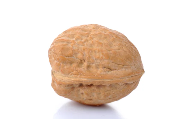Орех изолирован на белом — стоковое фото