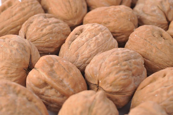 Mnoho ořechy zblízka — Stock fotografie