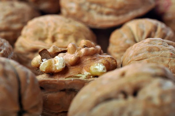 One opened walnut — Stock Photo, Image