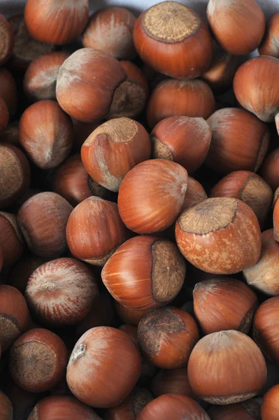 Många hazeknuts på nära håll — Stockfoto