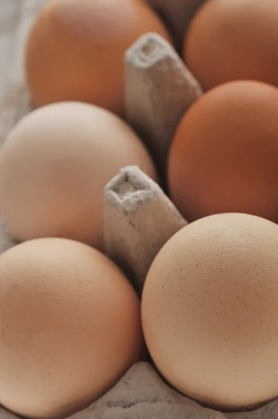 포장된 계란 — 스톡 사진