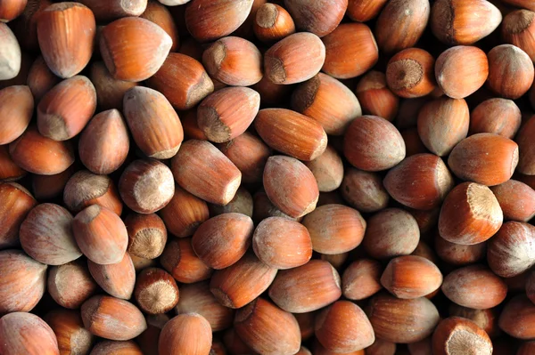 Haldy lískových ořechů — Stock fotografie