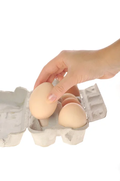 Donna mano che tiene uovo — Foto Stock