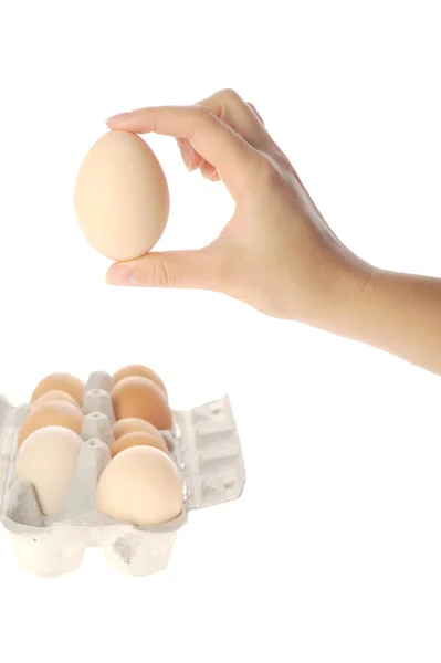 Mulher mão segurando ovo — Fotografia de Stock