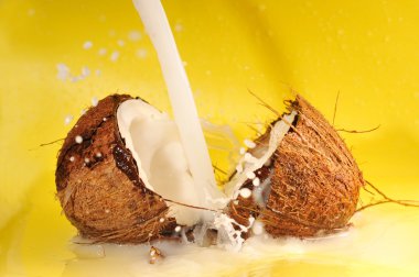 Coconut milk splash clipart