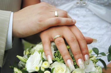 Hands with wedding rings clipart