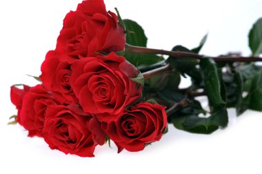 Beautiful red roses clipart