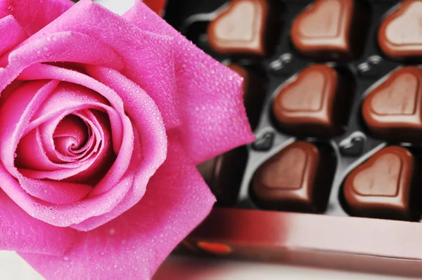 Chocolate y rosa rosa —  Fotos de Stock