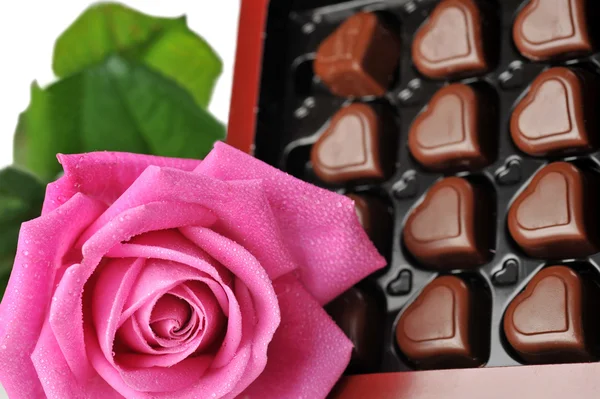 Шоколад и розовая роза — стоковое фото