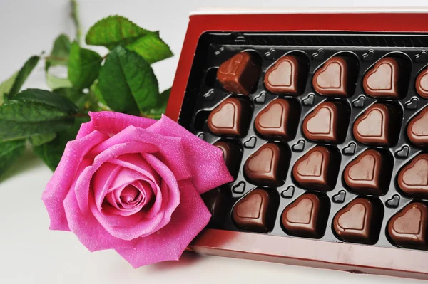Schokolade und rosa Rose — Stockfoto