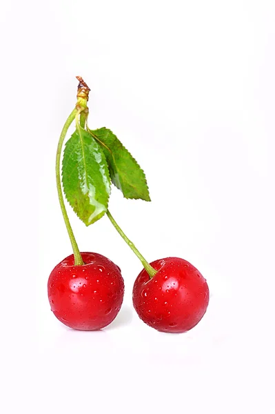 Cherry close-up — Stockfoto