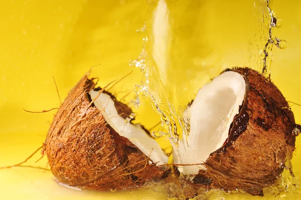 Kokosnöt med vattenstänk — Stockfoto