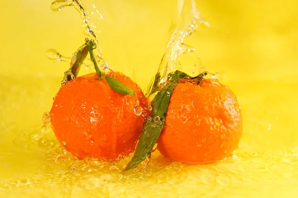 Δύο tangerines και τους παφλασμούς νερού — Φωτογραφία Αρχείου