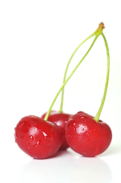 Cherry closeup — Stock Photo, Image