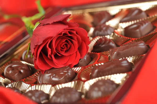Cioccolatini e rosa su rosso — Foto Stock