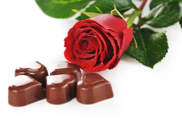 Schokolade und rote Rose — Stockfoto