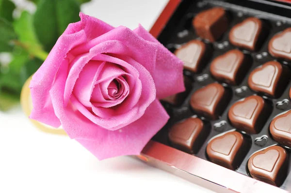 巧克力和粉红色的玫瑰 — 图库照片
