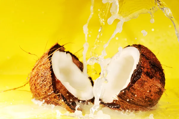 Kokos s stříkající vodě — Stock fotografie
