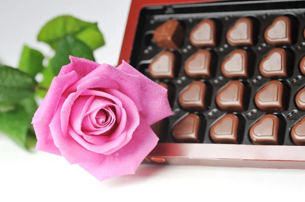 Σοκολάτα και ροζ τριαντάφυλλο — Φωτογραφία Αρχείου