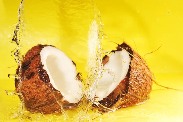 Coco con agua salpicada — Foto de Stock