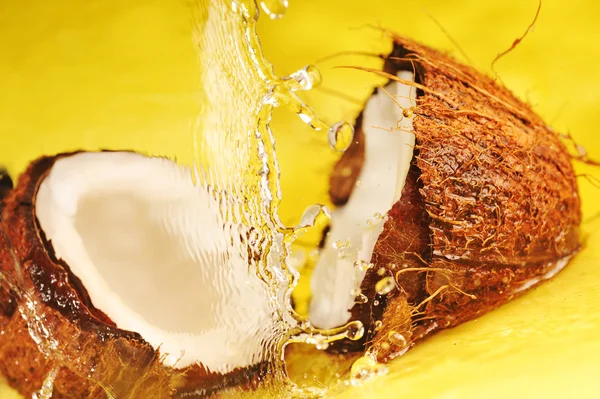 Coco con agua salpicada — Foto de Stock