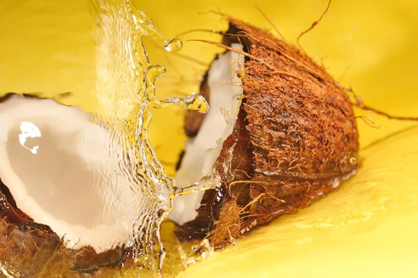 Kokosnöt med vattenstänk — Stockfoto
