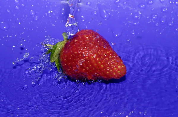 Water drops on strawberry — Stock Photo, Image