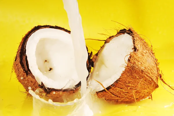 Плеск кокосового молока — стоковое фото