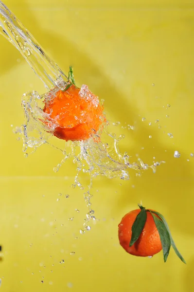 Due mandarini e spruzzi d'acqua — Foto Stock