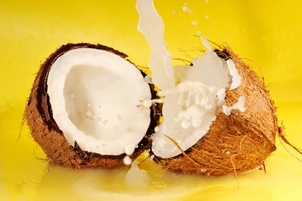 Mleko kokosowe splash — Zdjęcie stockowe