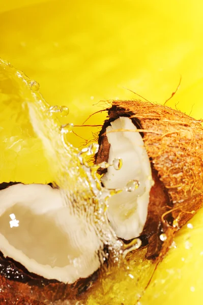 Coco com salpicos de água — Fotografia de Stock