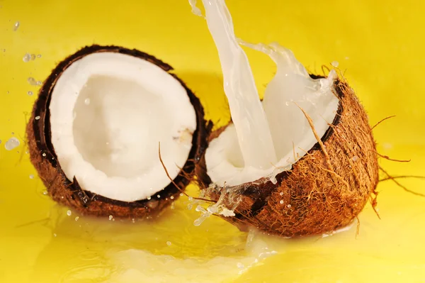 Kokosové mléko stříkající — Stock fotografie