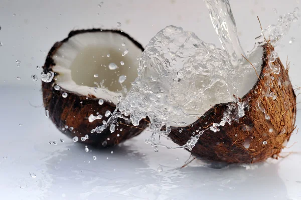 Pęknięty kokosowe rozpryskiwania — Zdjęcie stockowe