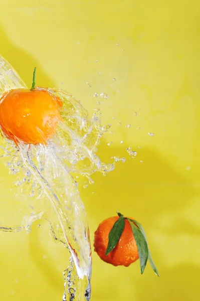 Due mandarini e spruzzi d'acqua — Foto Stock