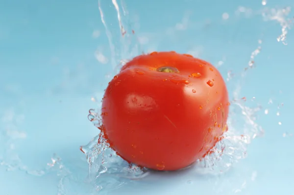 トマトと水の飛沫 — ストック写真