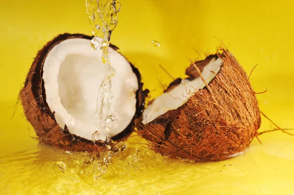 Coconut milk splash — Stock Photo, Image