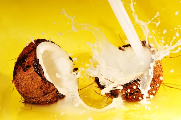 코코넛 우유 스플래시 — 스톡 사진