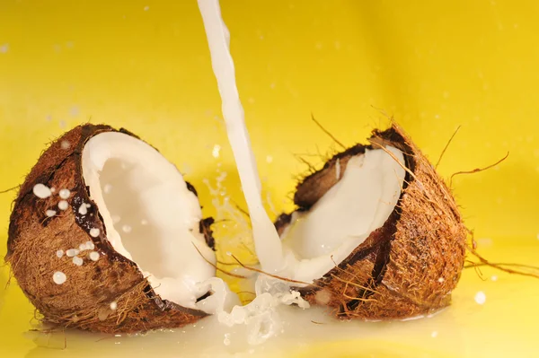 Salpicos de leite de coco — Fotografia de Stock