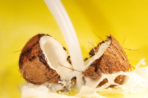 Kokosové mléko stříkající — Stock fotografie