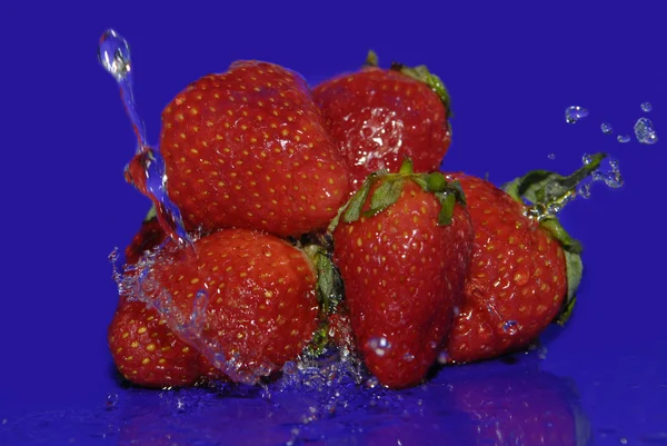 Gotas de agua sobre fresa —  Fotos de Stock