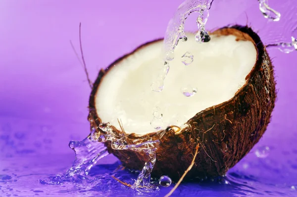 Mogen kokosnöt — Stockfoto