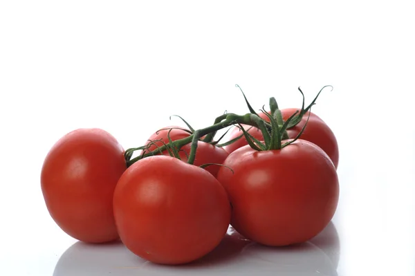 Five tomato twig — Stock Photo, Image