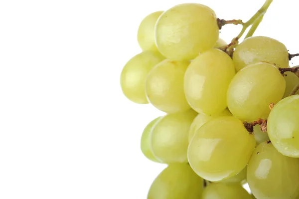 Uvas verdes frescas y sabrosas —  Fotos de Stock