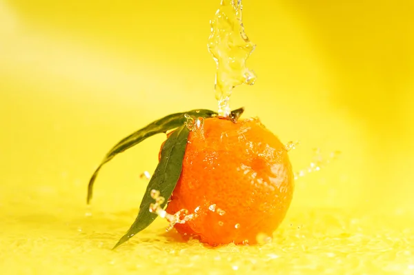 橘和水溅 — 图库照片