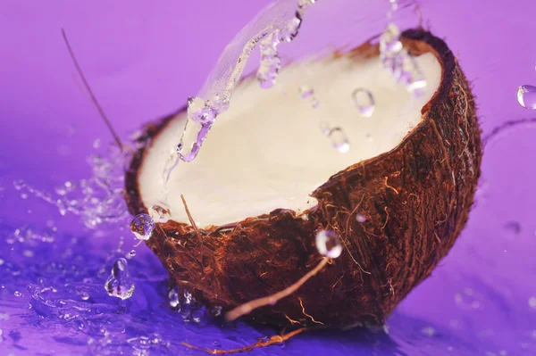 Noce di cocco matura — Foto Stock