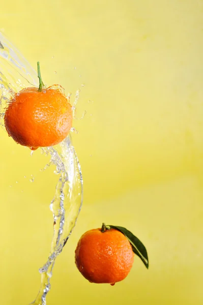 两个橘子和水溅 — 图库照片