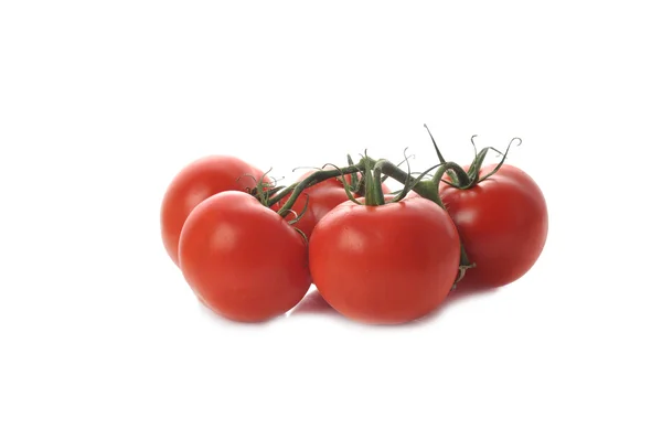 Pět rajčat větvička — Stock fotografie
