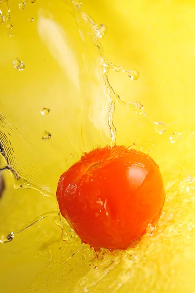 番茄和水溅 — 图库照片