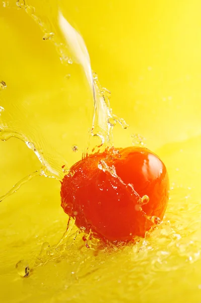 トマトと水の飛沫 — ストック写真