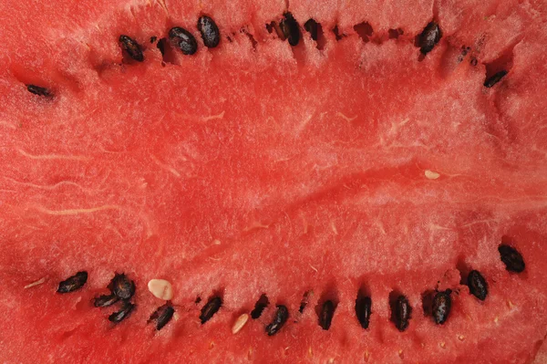 Čerstvé plátky melounu — Stock fotografie